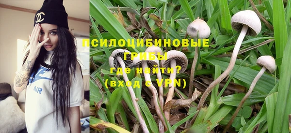 прущий лед Алексин