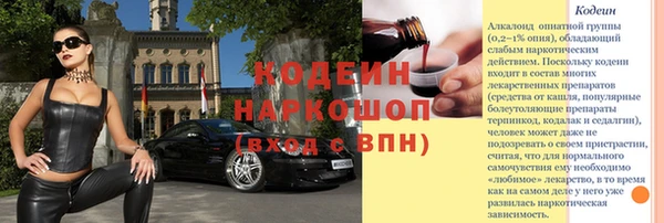 прущие грибы Абинск